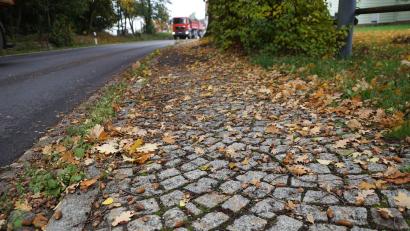 Bild: bkr
Laub auf den Gehbahnen und alles, was dort von den Bäumen fällt, ist ab dem kommenden Jahr vom Anlieger zu entfernen, wenn es verkehrsgefährdend ist.