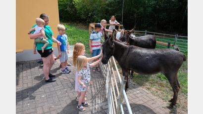 Bild: do
Auch die Esel riefen beim Kinderferientag des Kleintierzuchtvereins nach Streicheleinheiten.