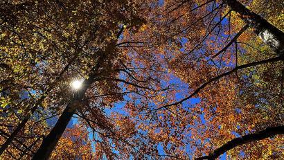 Bild: Alexander Unger
Wetterexperte Andy Neumaier meint, die Temperaturen gehen in den nächsten Tagen eher nach oben als nach unten.