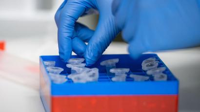 Bild: Christophe Gateau/dpa
Eine Laborantin sortiert im Institut für Virologie an der Charité Berlin Mitte, in dem Untersuchungen zum Coronavirus laufen, Proben.