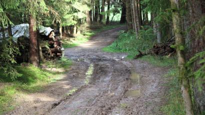 Bild: lep
Um eine Rad- und Fußwegverbindung von Kirchenthumbach nach Altzirkendorf herzustellen müsste dieses Wegstück gerichtet werden.