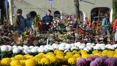 Bild: dob
Nicht einfach, das richtige Gesteck auszuwählen.