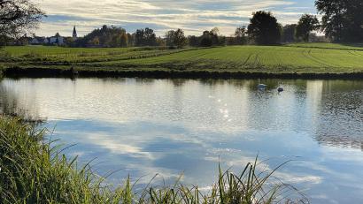 Bild: Petra Hartl
Herbststimmung an einem Weiher in der Nähe des Sulzbach-Rosenberger Ortsteils Oberschwaig.
