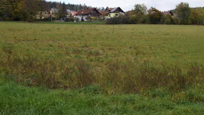 Bild: bnr
Das Baugebiet "Am Köblitzbach" ist ein Südhang, der die Bebauung in Oberköblitz nach Osten abschließt.