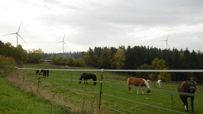 Bild: bey
Hinter dem Ortsteil Glaubenwies sind auf dem Gebiet des Marktes Wernberg-Köblitz in der Vergangenheit drei Windkraftanlagen errichtet worden. Dort, auf der Flur des Marktes Luhe-Wildenau, könnten nach einstimmiger Entscheidung des Marktgemeinderates Luhe-Wlldenau weitere Windkraftanlagen gebaut werden.