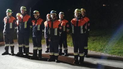 Bild: dpe
Eine Löschgruppe der Feuerwehr Gebenbach-Kainsricht schaffen das Leistungsabzeichen.