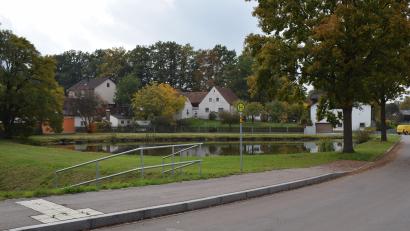 Bild: bnr
Aus Gründen der Sicherheit soll der Dorfweiher in Neunaigen im Bereich der Bushaltestelle auf einer Länge von 50 Meter eingezäunt werden. Die Bevölkerung ist davon wenig begeistert.