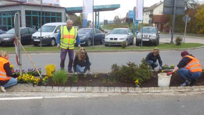 Bild: Mandl/exb
Die Marktgemeinde kann auf den Gartenbauverein bauen. Er kümmert sich im öffentlichen Bereich um die Herbstbepflanzung.