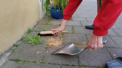 Bild: Tobias Gräf
Es ärgert die Anwohner in der Sulzbach-Rosenberger Innenstadt – und es bereitet ihnen Arbeit: Wie hier vor dem Bio-Laden Kornkistl müssen viele Stadtbewohner regelmäßig illegal ausgestreutes Taubenfutter beseitigen.