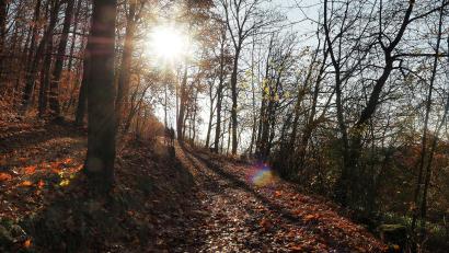 Archivbild: Petra Hartl
Der November bringt einstellige Temperaturen und Herbstwetter.