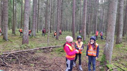 Bild: fjo
Der Nachwuchs macht es wie die Eichhörnchen und versteckt essbaren Vorrat aus Nüssen und Eicheln im weitläufigen Waldbereich.