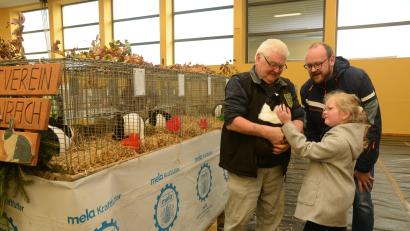 Bild: bey
Kuschelige Langohren haben bei der Ausstellung der Kleintierzüchter einfach die meisten Fans. Landrat Andreas Meier (rechts) kam zu einem privaten Besuch mit seinem Töchterchen zur Ausstellung. Vorsitzender Karl Luber (links) holt schnell einen Hasen aus dem Käfig, der dann viele Streicheleinheiten erhält.