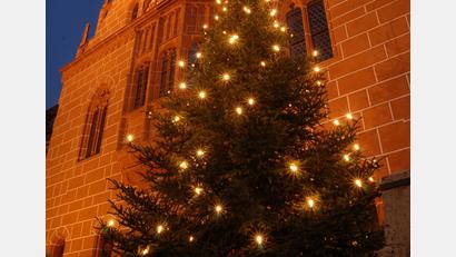 Archivbild: Petra Hartl
Sowohl die Fassade des Sulzbach-Rosenberger Rathauses als auch der Christbaum werden dieses Jahr nicht beleuchtet.