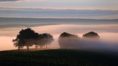 Bild: Karl-Josef Hildenbrand/dpa
Die kommenden Tage bringen Nebel – außerhalb der Nebelfelder könnte es freundlich werden.