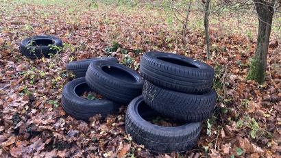 Bild: Polizei/exb
Ein Umweltfrevler hat in einem Wald bei Weigendorf Altreifen entsorgt.