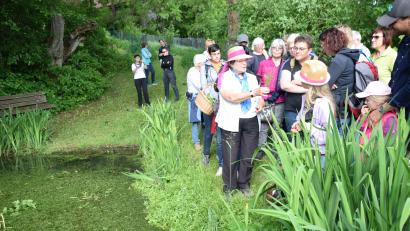 Archivbild: wku
Die Kräuterwanderungen von Markusine Guthjahr (hier am Dorfteich in Pruppach) sind ein Aushängeschild des Tourismusvereins. Mit dem erwirtschafteten Geld soll nun die Kneippanlage erweitert und verschönert werden.