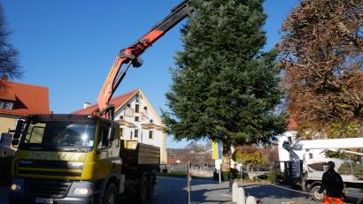 Bild: hmr
Mit Hilfe eines Kranfahrzeugs der Fa. Schuller Transporte wurde der Christbaum auf dem Basilikaplatz angeliefert und aufgestellt.