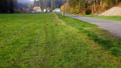 Bild: bkr
Die Entscheidung über eine Geländeauffüllung an der Gemeindeverbindungsstraße zwischen Ahornberg und der Hölzlmühle fiel positiv aus.