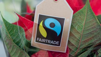 Bild: Markus Scholz/dpa
Das Fairtrade-Zeichen ist eines von mehreren Siegeln, die nachhaltiges Wirtschaften kennzeichnen. In Amberg beschäftigt sich eine Koordinatorin für kommunale Entwicklungspolitik mit dem Thema.