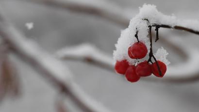 Bild: Angelika Warmuth/dpa
Am Wochenende schneit es in der Oberpfalz.