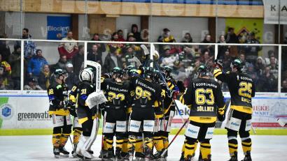 Bild: SignaLight-AP
Jubel beim ERSC Amberg am Freitagabend. Den Löwen gelang die Revanche für die vier Niederlagen gegen die EA Schongau in der vergangenen Saison.