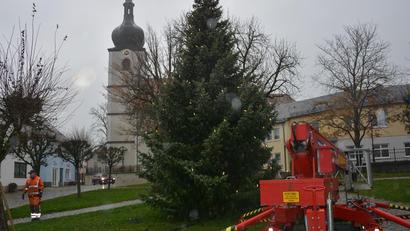 Bild: jr
Am Donnerstag haben Mitarbeiter des gemeindlichen Bauhofs am Therese-Neumann-Platz in Konnersreuth einen Christbaum aufgestellt.