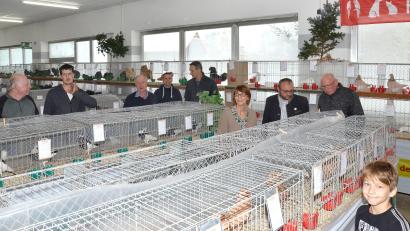 Bild: fjo
"So viele schöne Tiere" ist sich Tyler (rechts) sicher, der in Begleitung seiner Oma ebenso begeistert durch die Reihen wandelt, wie viele andere Besucher am Wochenende.