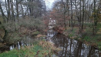 Bild: bey
Angesprochen wurde in der Bürgerversammlung in Oberwildenau auch die Umgebung der Stau- und Triebswerksanlage Unterwildenau. Kritisiert wurde, dass die Waldnaab dort sehr verwachsen sei.