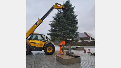 Bild: Gaby Buchbinder/exb
Der Eslarner Christbaum ist am Tillyplatz angekommen.