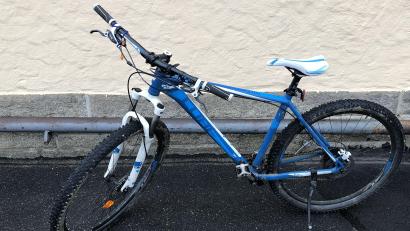Bild: Polizeiinspektion Waldsassen/exb
Das aufgefundene Mountainbike der Marke Cube.