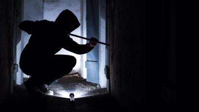 Symbolbild: Silas Stein/dpa
Einbrecher waren in einer Schrebergartenanlage in Wunsiedel aktiv.