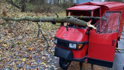 Bild: Polizeiinspektion Marktredwitz/exb
Bei Seußen (Stadt Arzberg) krachte ein Baum auf ein Lastendreirad.