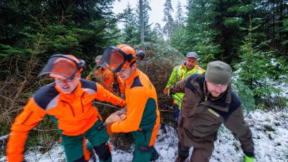 Bild: Martin Hertel/exb
In der Bayerischen Landesvertretung in Berlin leuchtet heuer wieder ein Christbaum aus dem Staatswald des Fichtelgebirges. Alle packen mit an: die Forstwirte Jonas Fischer und Andreas Schinner vom Forstbetrieb Fichtelberg sowie Ronald Ledermüller vom Naturpark Fichtelgebirge und weitere Helfer ziehen den Christbaum für Berlin aus dem Wald.