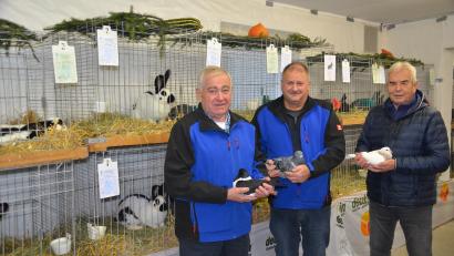 Bild: ak
Die Tauben- und Kaninchenzüchter stellten ihre Tiere bei der Lokalschau aus und ließen sie bewerten. Stolz präsentieren Vereinsvorsitzender Helmut Kopp, Otto Hörl und Ausstellungsleiter Tauben Georg König ihre Prachtexemplare.