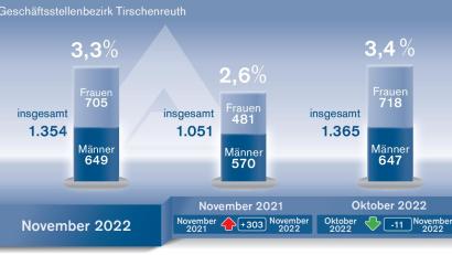 Grafik: Oberpfalz-Medien/Quelle: Agentur für Arbeit
Der Arbeitsmarkt im Landkreis Tirschenreuth im November 2022.