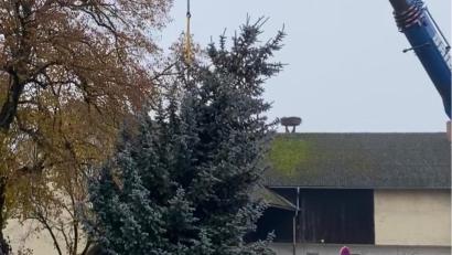 Bild: sei
Der Christbaum schwebt in Mantel ein. Der ganze Markt ist besonders dekoriert und wartet mit vielen Veranstaltungen auf.