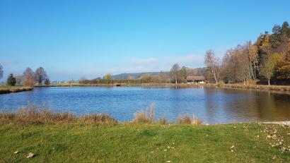 Bild: gi
Idyllisch liegt der Badeweiher östlich von Tröbes. Doch wie es 2023 hier weitergeht, scheint noch lange nicht geklärt.