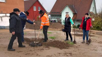 Bild: Ehemann/exb
Im Baugebiet Hirtenleite III wurden die drei Obstbäume eingepflanzt.