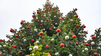Bild: Patrick Pleul/dpa
Der frühe Weihnachtsbaum liegt im Trend.