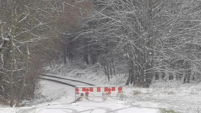 Bild: gz
Die Gemeindeverbindungsstraße von Büchelberg nach Pfrentschweiher bleibt weiterhin gesperrt.