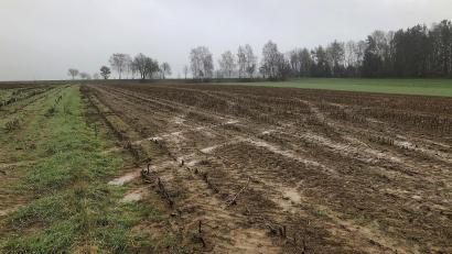 Bild: wro
In einigen Monaten soll hier das Projekt Solarpark Fuchsmühl II umgesetzt werden, das bereits im Frühjahr dieses Jahres vorgestellt wurde. Der Marktgemeinderat stimmte nun Änderungen in der Bauleitplanung zu.