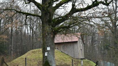 Bild: sche
Der Wasserhochbehälter am Donatusweg bei Aschach kann nicht mehr saniert werden und muss einem Neubau weichen.