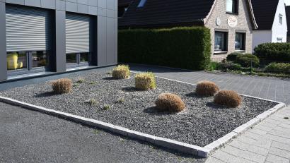 Bild: Carmen Jaspersen/dpa
Karge Büschel zwischen grauen Kieselsteinen: Stein-Vorgärten bieten keinen Lebensraum für Tiere, Wasser kann schlecht abfließen. Auch in Sulzbach-Rosenberg gibt es diese Art der Gartengestaltung immer mehr – um niemanden an den Pranger zu stellen, wurde hier zur Illustration ein anonymes Symbolbild verwendet.
