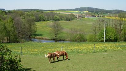 Bild: fjo
Mit Bildern aus vier Jahreszeiten macht ein neues Heimatbuch über das Pfreimdtal (hier bei Gröbenstädt) sogar schon Lust auf den nächsten Frühling.