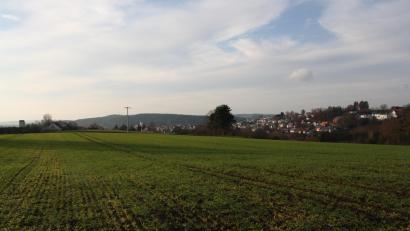 Bild: bjp
Auf Fortschritte bei der Planung des Baugebiets Schwarzleite hoffen die Pressather Stadtverantwortlichen. Im Januar soll ein überarbeitetes Konzept vorgestellt werden.