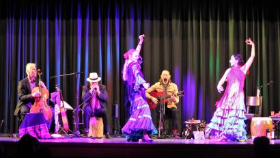 Bild: stg
Zur "Andalusischen Weihnacht" war das Publikum in die Stadthalle eingeladen worden - mit viel Musik und viel Tanz.