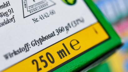 Symbolbild: Patrick Pleul
Durch den Einsatz von Glyphosat ist in Tirschenreuth ein großer Lindenbaum vergiftet worden.