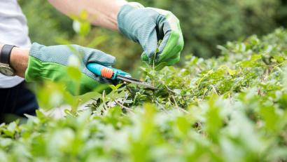 Symbolbild: Christin Klose/dpa