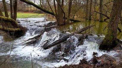 Bild: Mardanow
Der Rötzerbach im Bereich der ehemaligen Dorfmühle im Februar 2021.