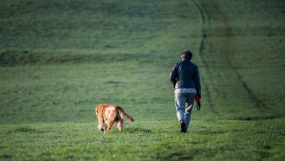 Symbolbild: Sebastian Gollnow/dpa
In Sulzbach-Rosenberg sprang ein Hund ein Kind an. Mit Armbruch musste es daraufhin ins Krankenhaus.